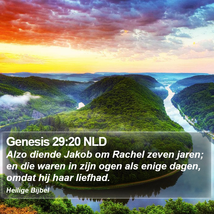 Genesis 29:20 NLD Bible Study