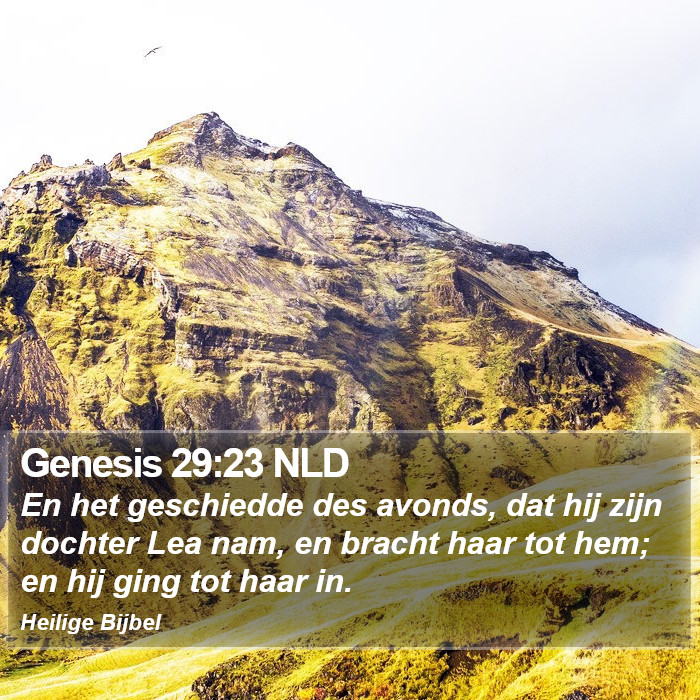 Genesis 29:23 NLD Bible Study