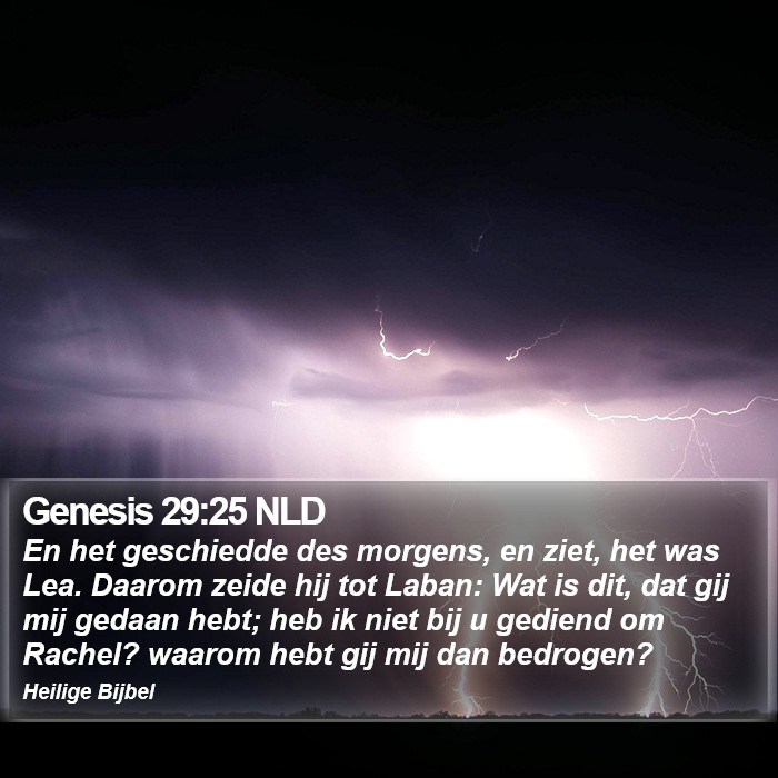 Genesis 29:25 NLD Bible Study