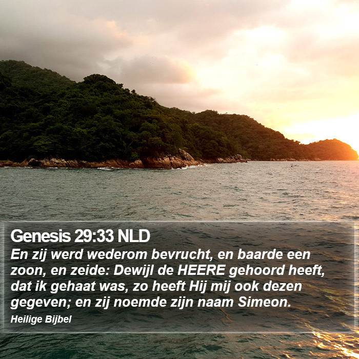 Genesis 29:33 NLD Bible Study