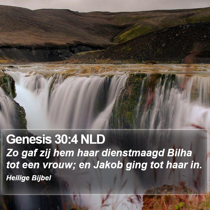 Genesis 30:4 NLD Bible Study