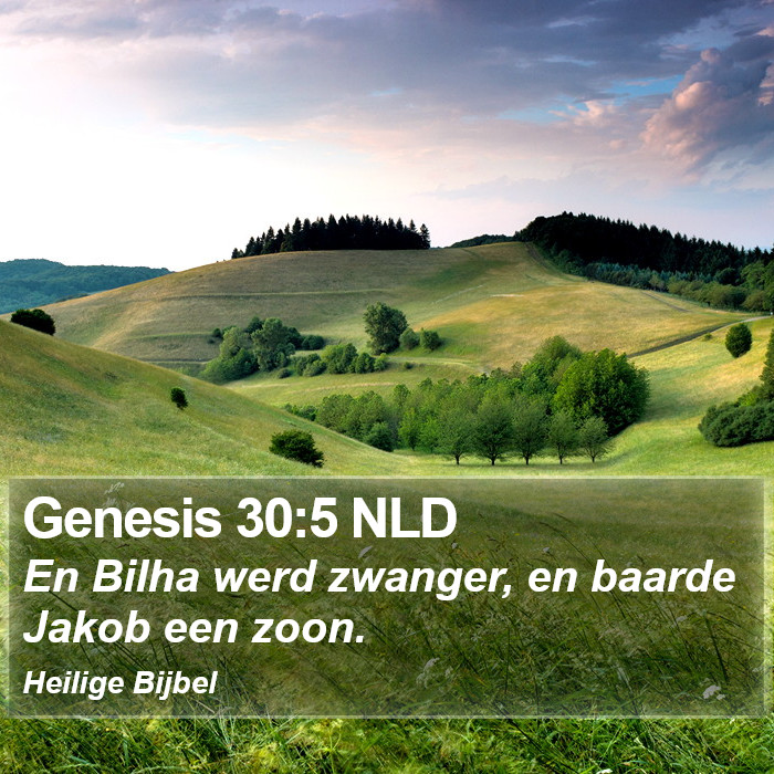 Genesis 30:5 NLD Bible Study