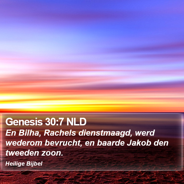 Genesis 30:7 NLD Bible Study