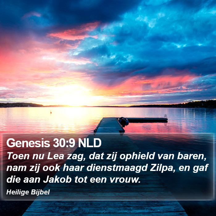 Genesis 30:9 NLD Bible Study