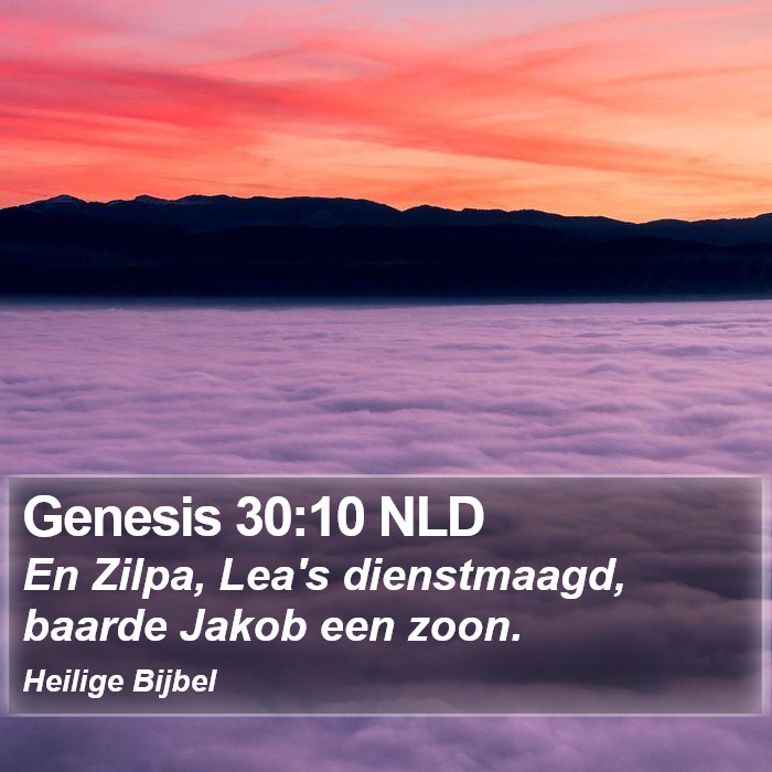 Genesis 30:10 NLD Bible Study