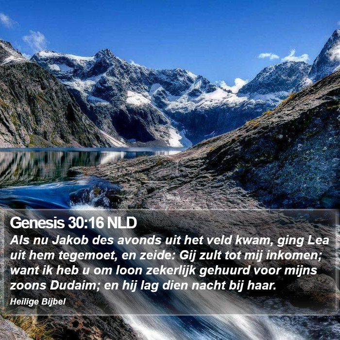 Genesis 30:16 NLD Bible Study
