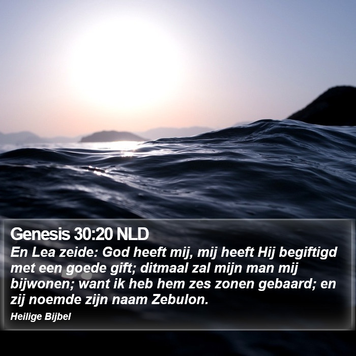 Genesis 30:20 NLD Bible Study