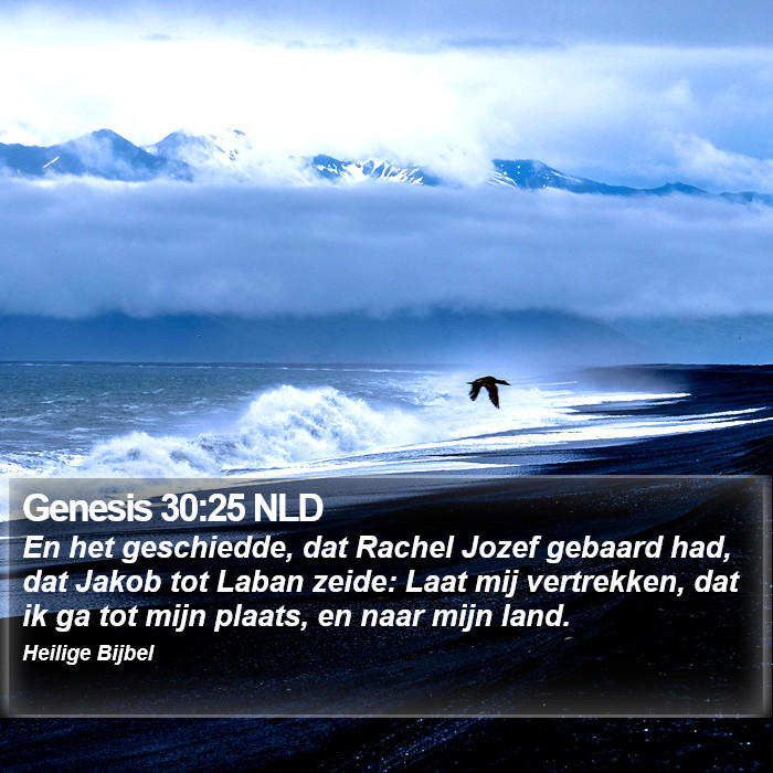 Genesis 30:25 NLD Bible Study