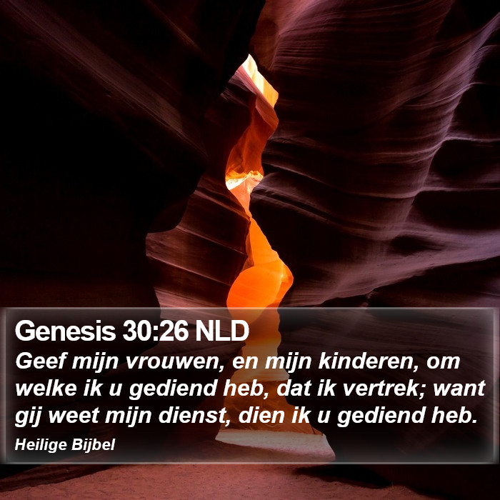 Genesis 30:26 NLD Bible Study