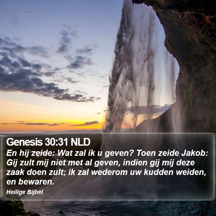 Genesis 30:31 NLD Bible Study