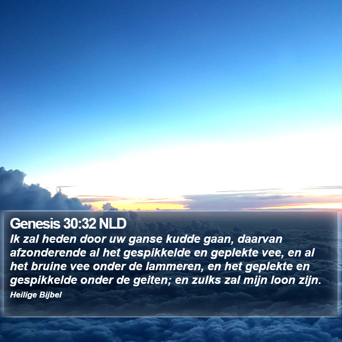 Genesis 30:32 NLD Bible Study