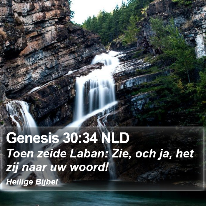 Genesis 30:34 NLD Bible Study