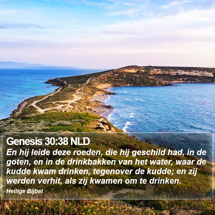 Genesis 30:38 NLD Bible Study