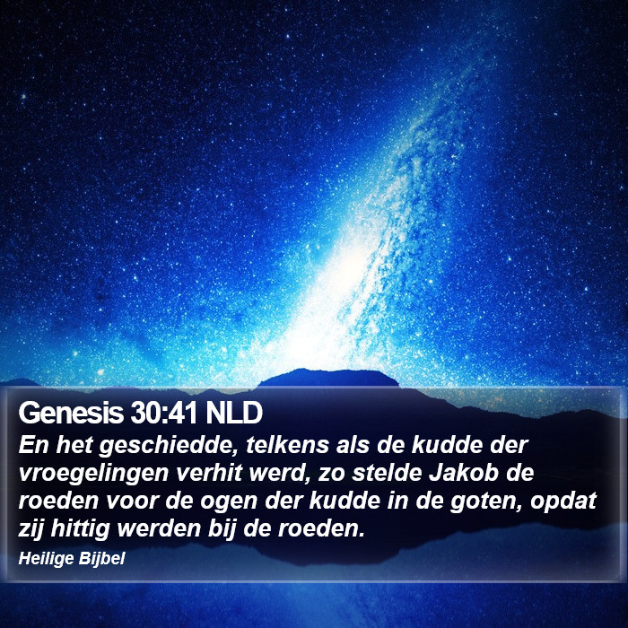 Genesis 30:41 NLD Bible Study