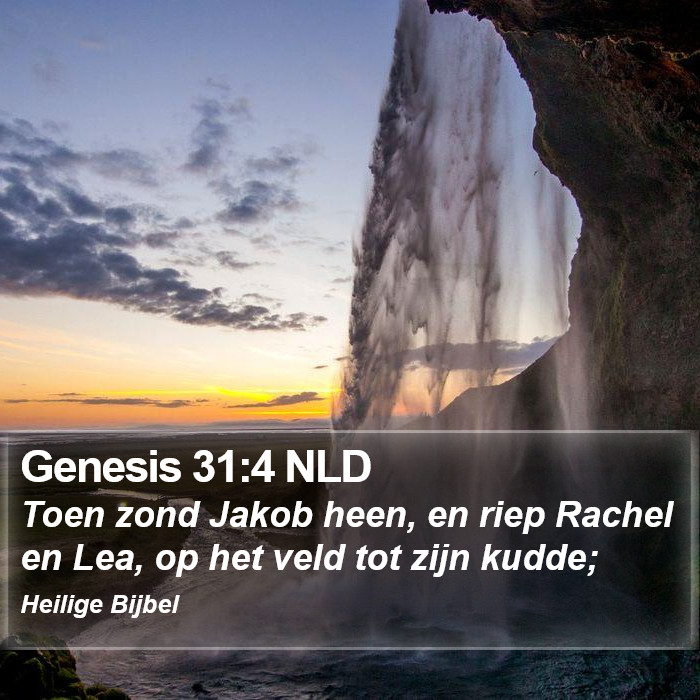 Genesis 31:4 NLD Bible Study