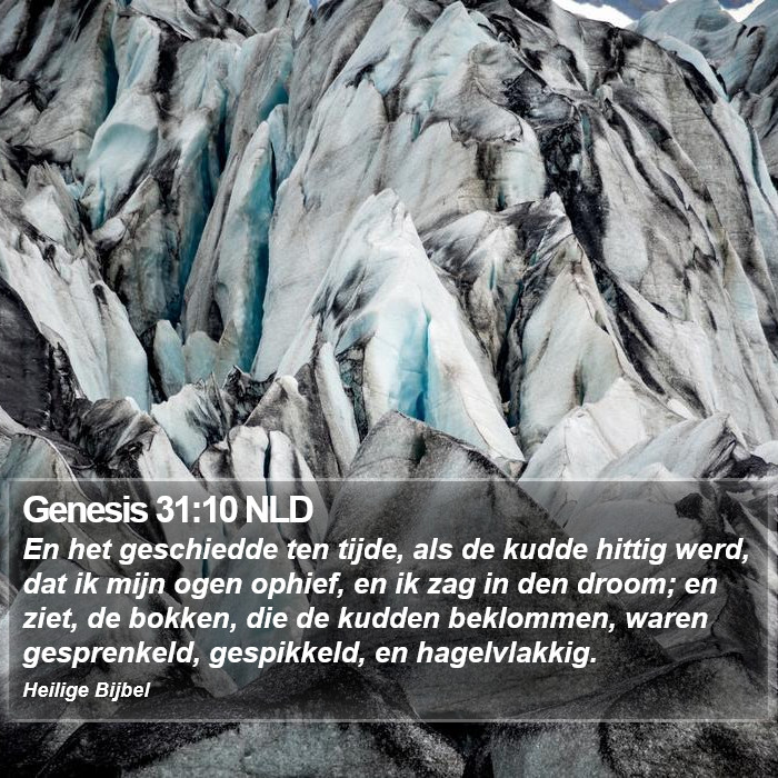 Genesis 31:10 NLD Bible Study