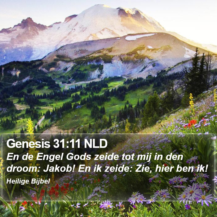 Genesis 31:11 NLD Bible Study