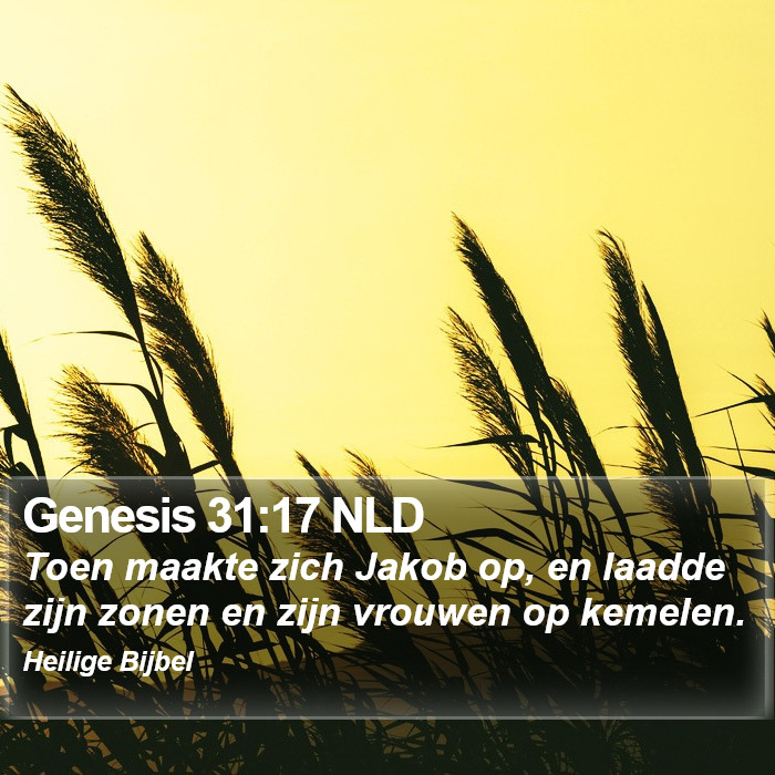 Genesis 31:17 NLD Bible Study