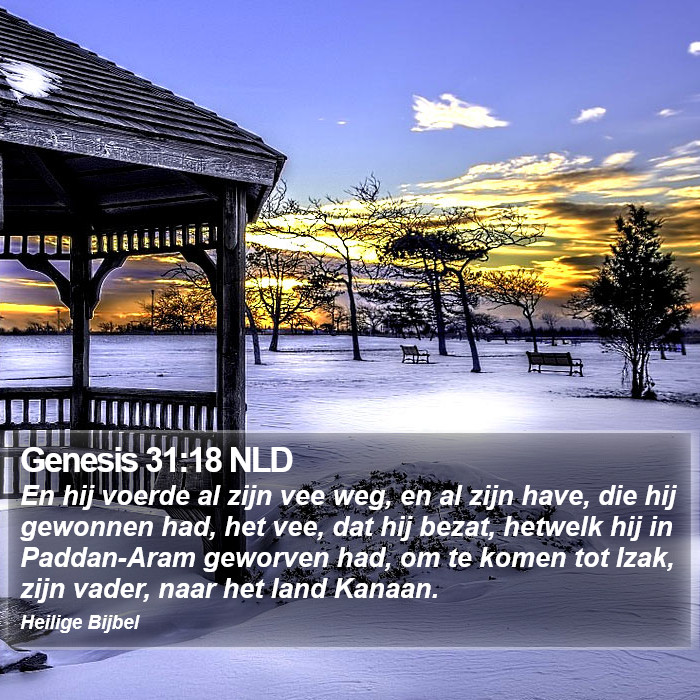 Genesis 31:18 NLD Bible Study