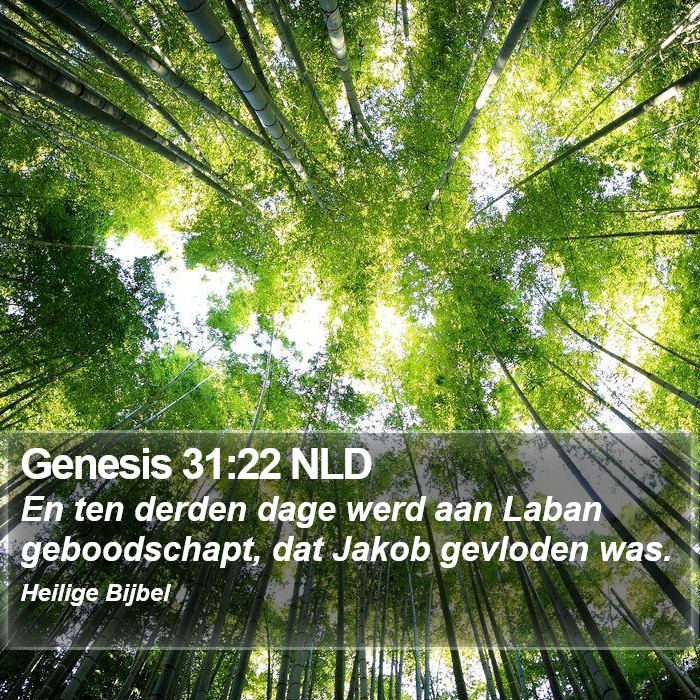 Genesis 31:22 NLD Bible Study