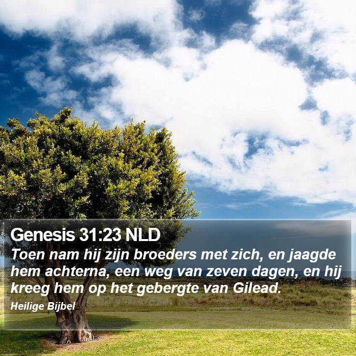 Genesis 31:23 NLD Bible Study