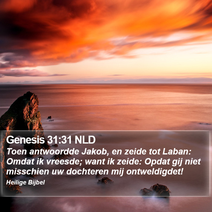 Genesis 31:31 NLD Bible Study