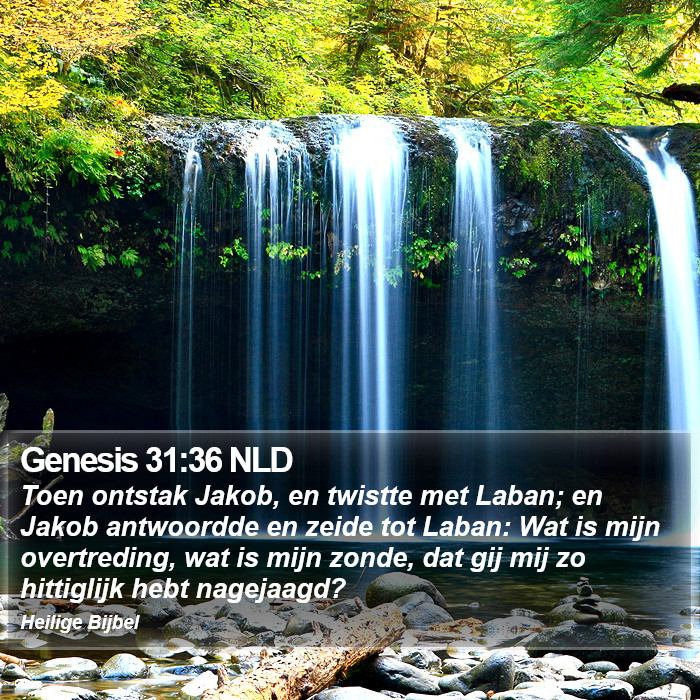 Genesis 31:36 NLD Bible Study