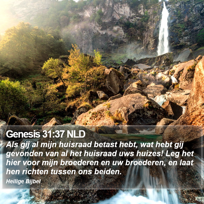 Genesis 31:37 NLD Bible Study