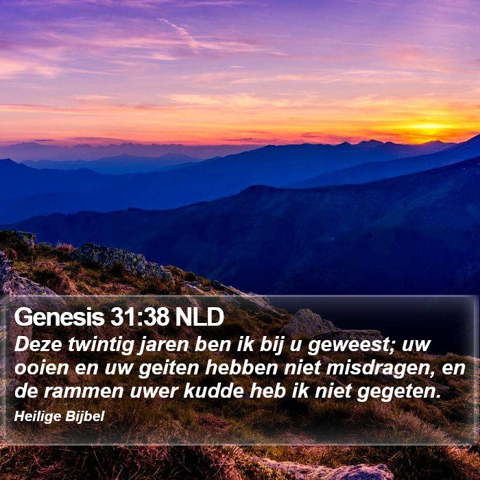 Genesis 31:38 NLD Bible Study