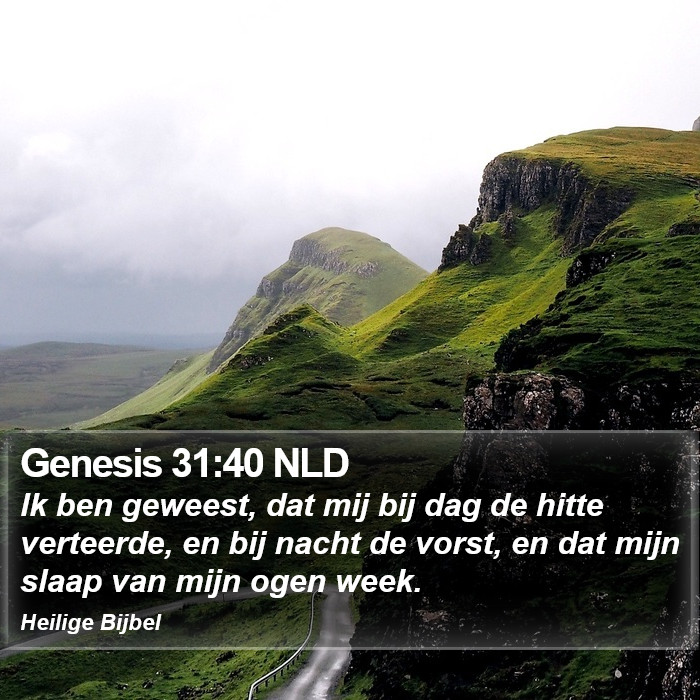 Genesis 31:40 NLD Bible Study