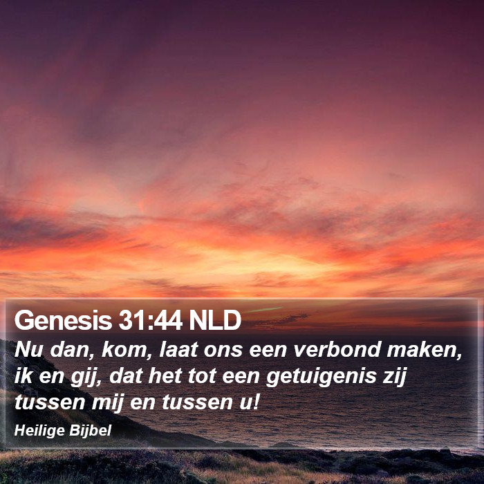 Genesis 31:44 NLD Bible Study