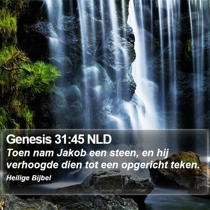 Genesis 31:45 NLD Bible Study