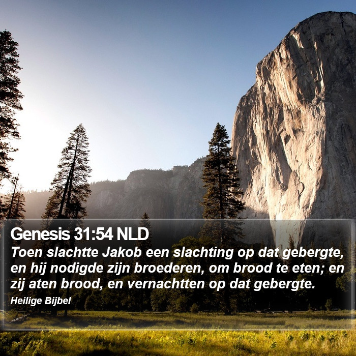 Genesis 31:54 NLD Bible Study