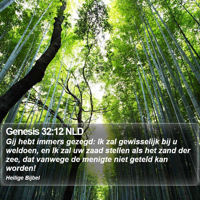 Genesis 32:12 NLD Bible Study