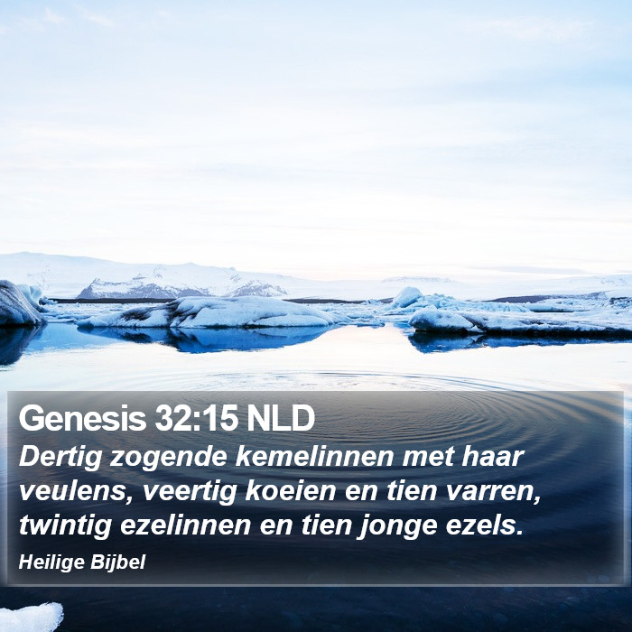Genesis 32:15 NLD Bible Study