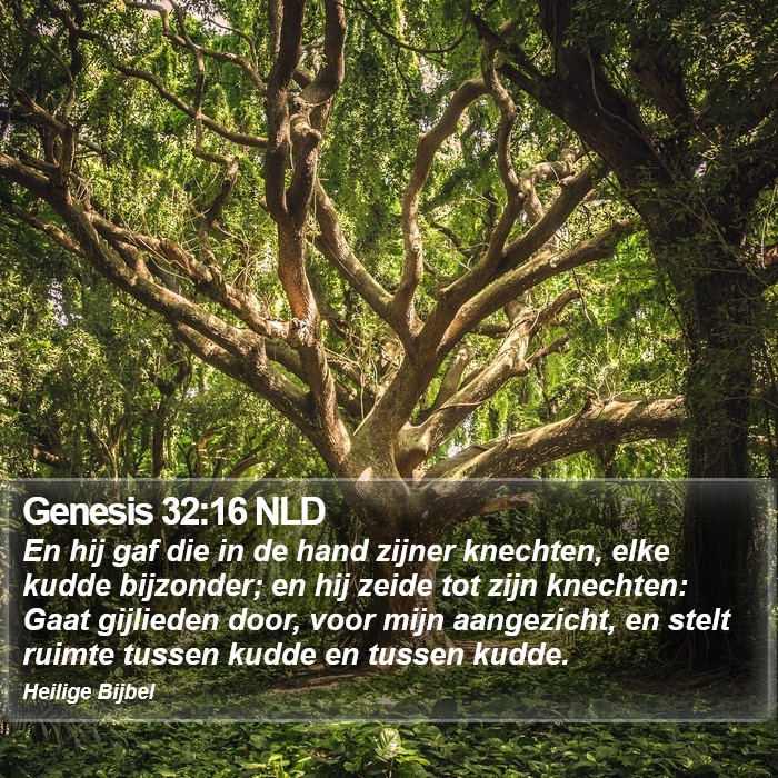 Genesis 32:16 NLD Bible Study