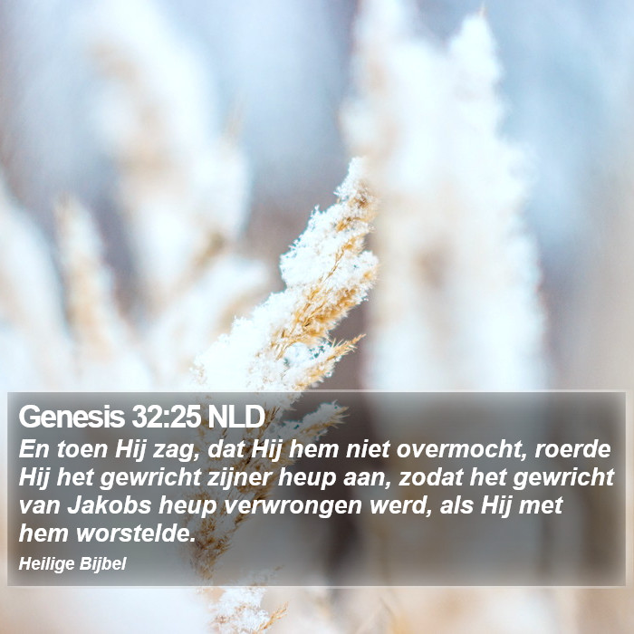 Genesis 32:25 NLD Bible Study