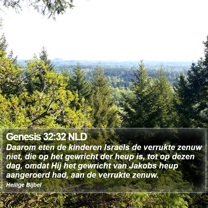 Genesis 32:32 NLD Bible Study
