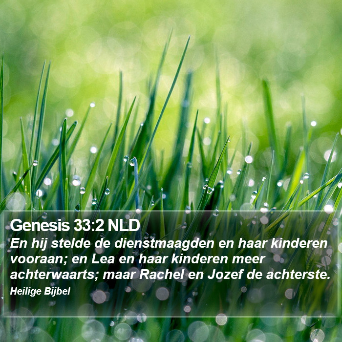 Genesis 33:2 NLD Bible Study