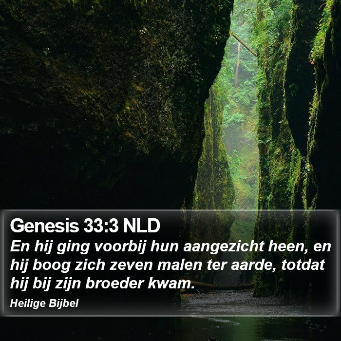 Genesis 33:3 NLD Bible Study