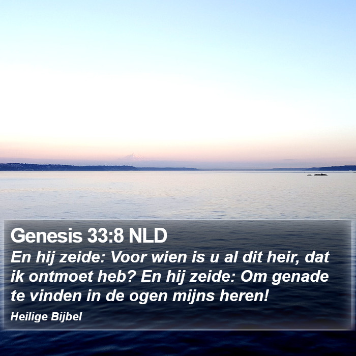 Genesis 33:8 NLD Bible Study
