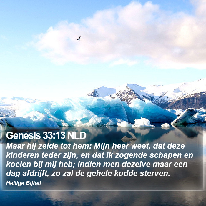 Genesis 33:13 NLD Bible Study
