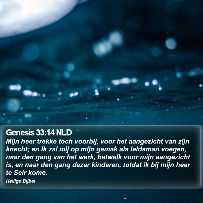 Genesis 33:14 NLD Bible Study