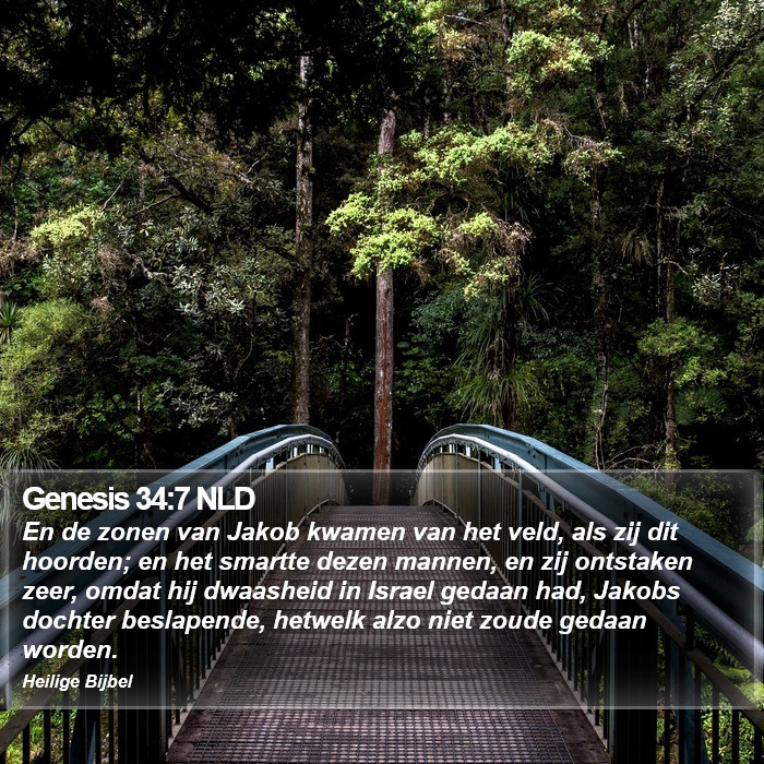 Genesis 34:7 NLD Bible Study