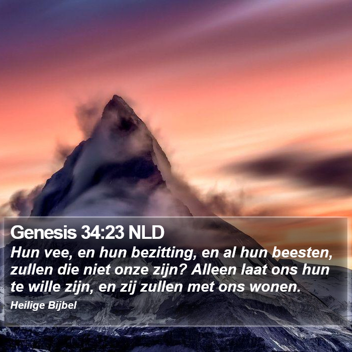 Genesis 34:23 NLD Bible Study