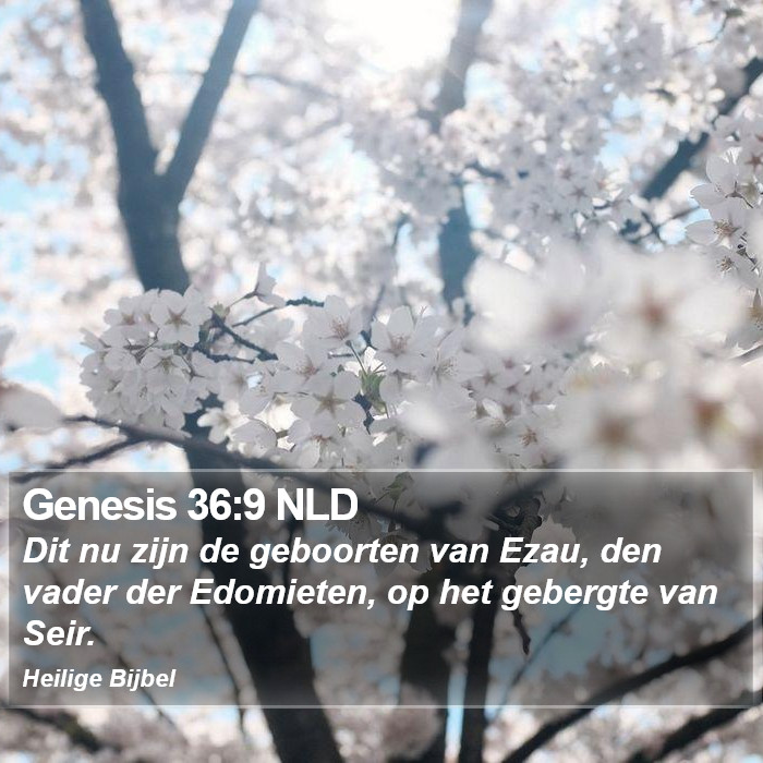 Genesis 36:9 NLD Bible Study
