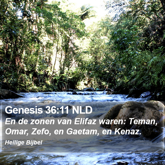 Genesis 36:11 NLD Bible Study