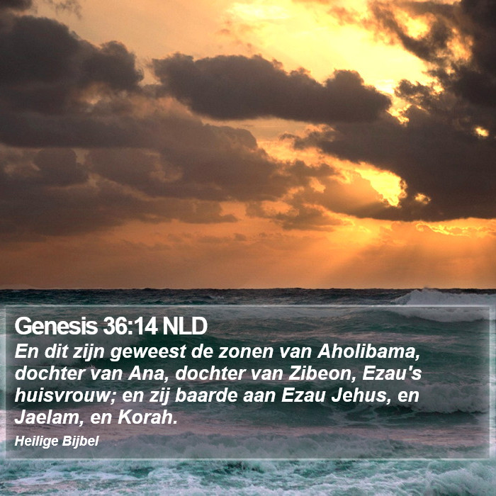 Genesis 36:14 NLD Bible Study