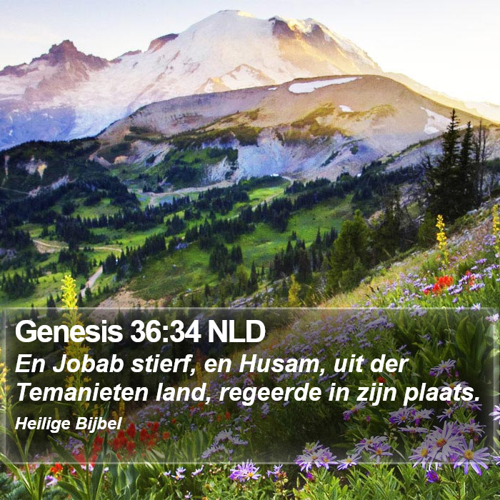 Genesis 36:34 NLD Bible Study