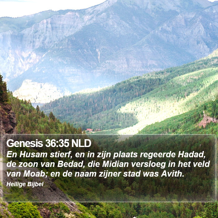Genesis 36:35 NLD Bible Study